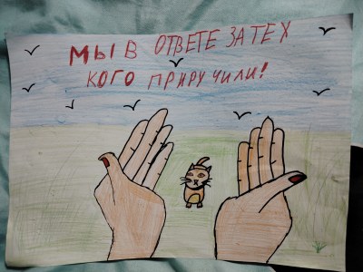 Работа