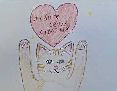 Работа