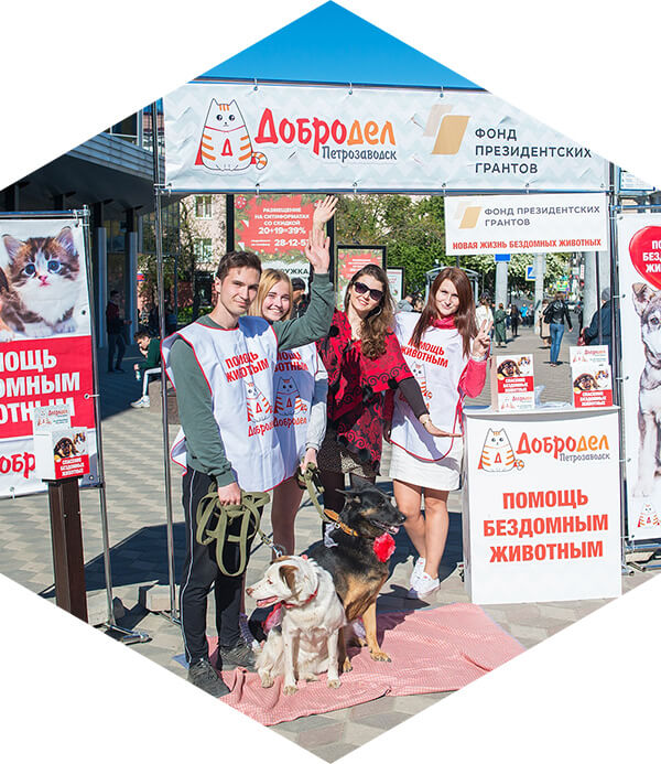 Проведение благотворительного мероприятия в пользу бездомных животных АНО Добродел в Петрозаводске